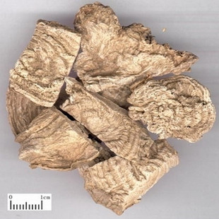 中药材商陆山萝卜水萝卜当陆 见肿消 牛大黄 500克