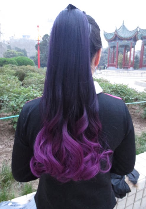 Perruque Les cheveux longs - Ref 2612353 Image 1