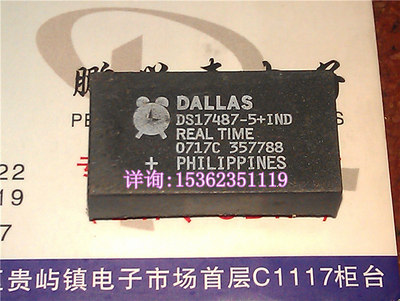 DS17487 DS17487-5 进口双列直插脚DIP封装