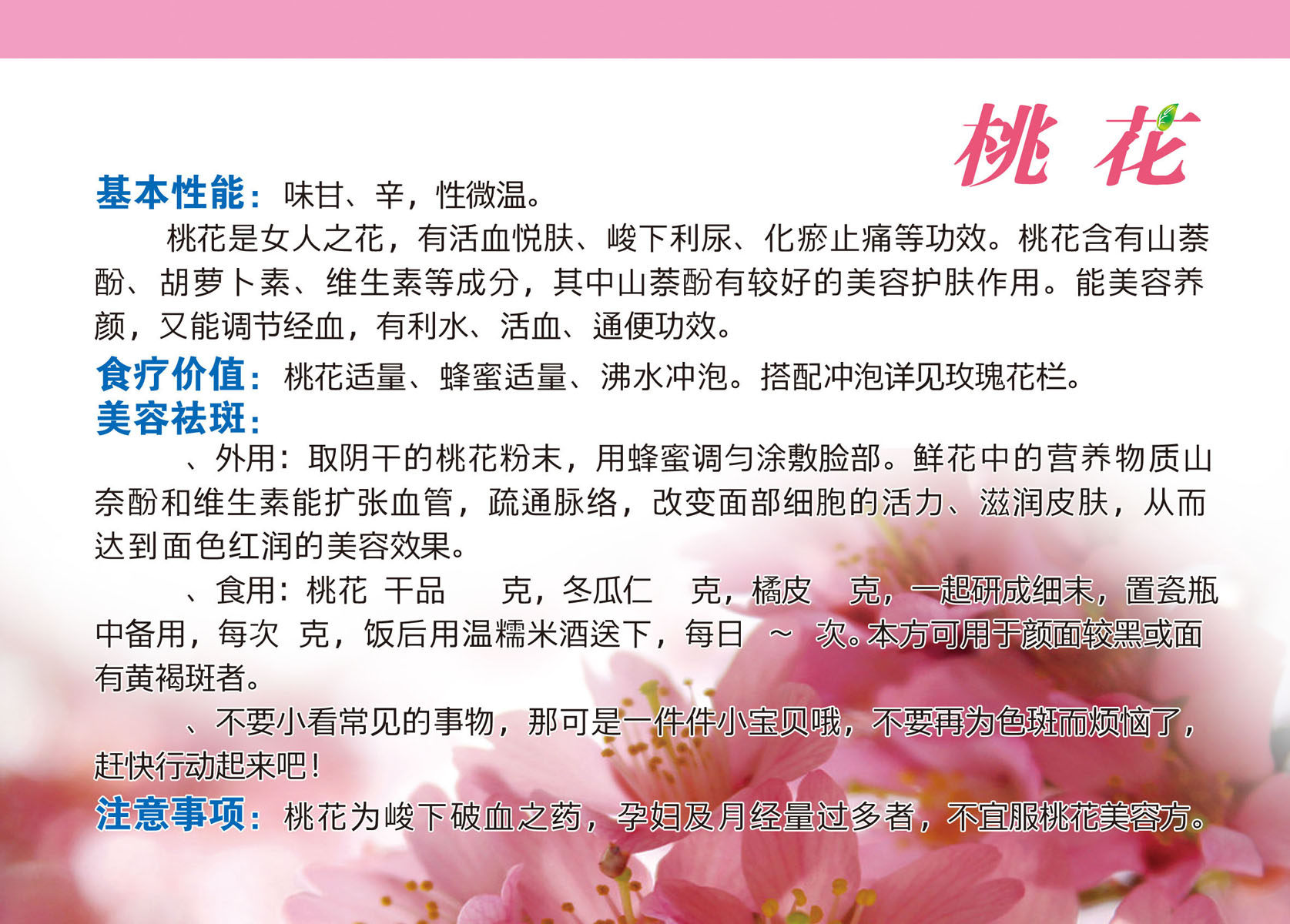 海报印制47花草茶 桃花 208海报展板素材(制作)