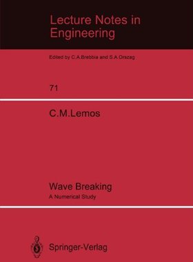 【预订】Wave Breaking: A Numerical Study