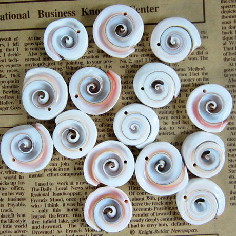 打孔桃心海螺有孔圆桃心螺打洞海螺开孔海螺有孔海螺带孔螺带洞螺