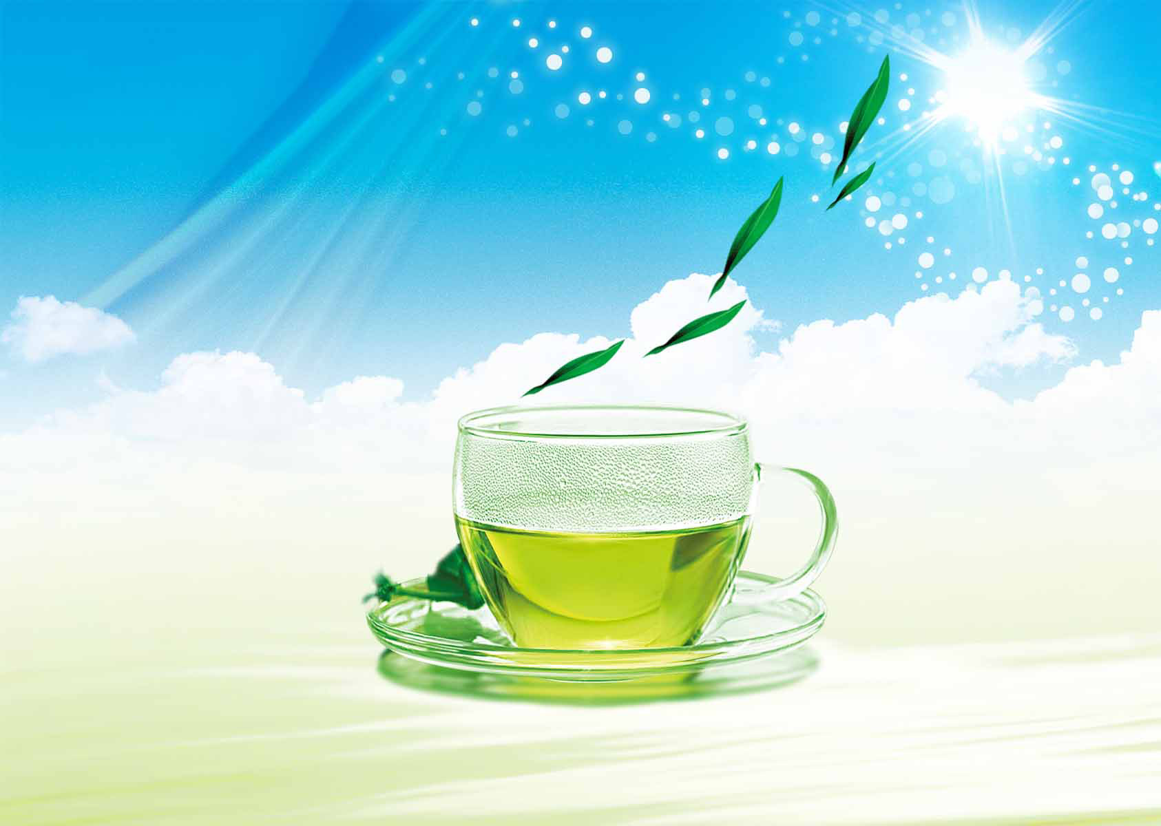 21素材茶叶茶道茶文化茶海报海报展板99茶杯海报印制