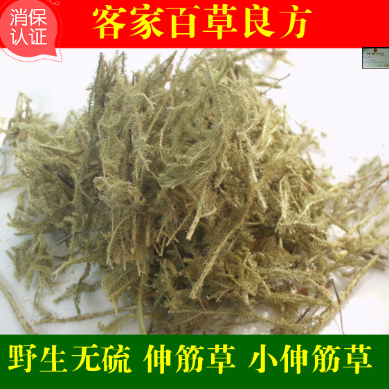客家  伸筋草 石松 狮子草 舒筋草 过江龙500g