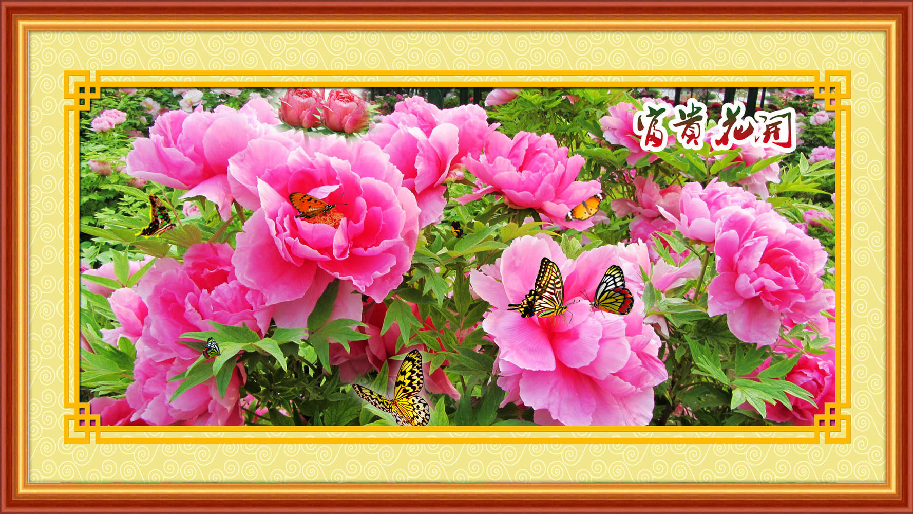 653海报印制定制展板素材510富贵花开牡丹花蝴蝶画