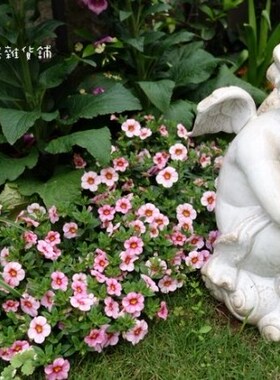 欧式风做旧别墅庭院酒吧天使娃娃