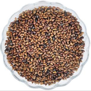 炒决明子熟决明子500克包邮决明子茶店里有珍珠母白菊花