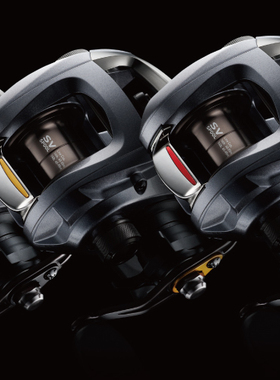 DAIWA 达亿瓦 SS SV 103L 103HL 103SHL 水滴轮 2014新品