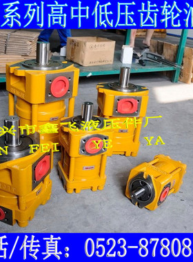 NT2-D10F NT2-D12F NT2-D16F NT3-D20F NT3-D25F NT3-D32F齿轮泵