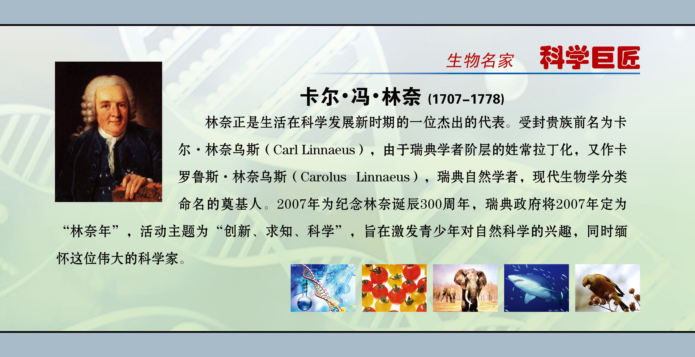 海报印制541设计展板素材283学校文化建设名人名言设计