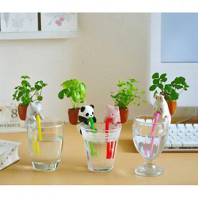 正品 桌面创意绿植 DIY盆栽渴渴吸里小植栽 迷你办公室植物