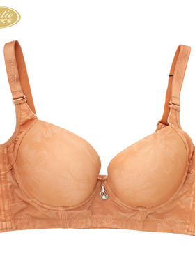 戴芝蒂专柜正品内衣 秋冬聚拢中模杯四排扣调整型文胸D9150