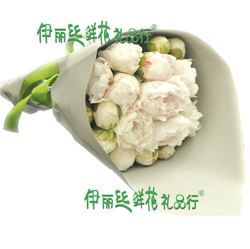 5月花鲜花价格 5月花鲜花图片 星期三