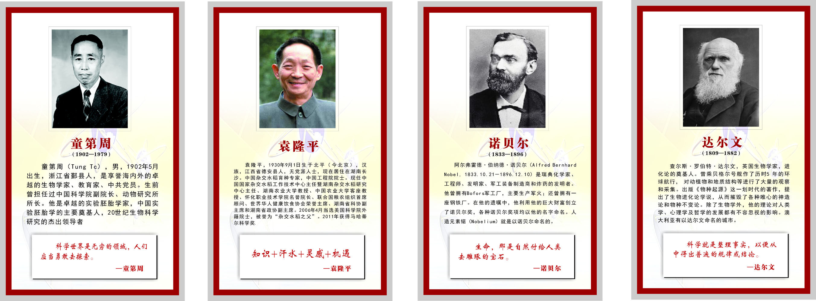 海报印制662展板素材260名人名言童第周袁隆平诺贝尔达尔文