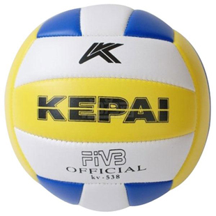 Ballon de volley - Ref 2010729 Image 1