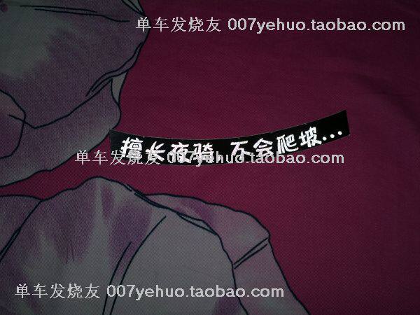 Décoration pour vélo - Ref 2284439 Image 1