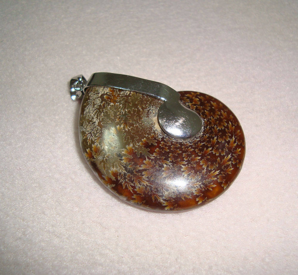 精致挂件 斑彩螺化石吊坠 挂饰 发财螺保平安 健康如意 小巧精美|msdalam kategori Aksesori/Barang Kemas Fesyen, loket/loket - dari Buy2taobao.com untuk memberikan perkhidmatan ejen Taobao profesional membeli