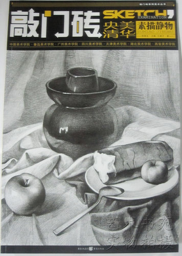 商城正版 促销 敲门砖系列美术丛书 素描静物