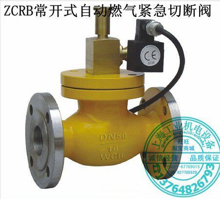 沪工-ZCRB电磁式天燃气液化气煤气自动紧急切断阀 防爆常开DN125
