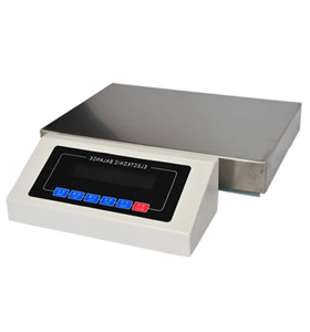YP6000N电子天平6000g/1g台式天平 电子称 电子秤