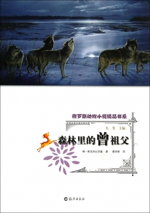 森林里的曾祖父/俄罗斯动物小说精品书系 正版书籍 木垛图书