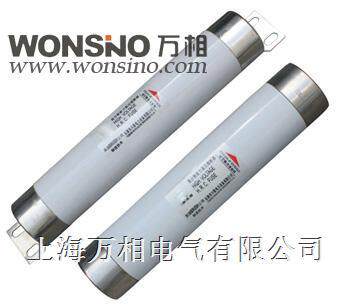SXLDJ-10 XRNT-10 SXLDJ1变压器保护母线式高压限流熔断器撞击式