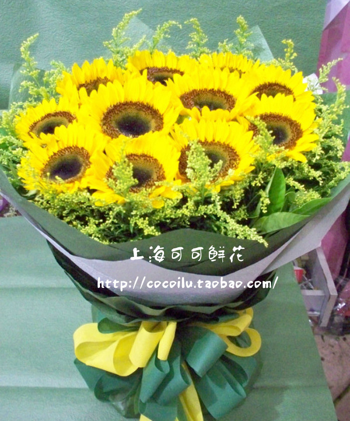 10枝向日葵上海鲜花速递闸北虹口卢湾杨浦东黄浦徐汇花店送花上门