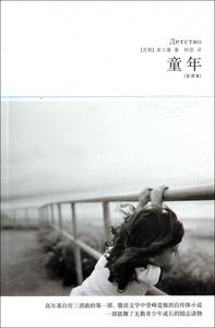 童年(全译本插图本)/世界文学文库 小说