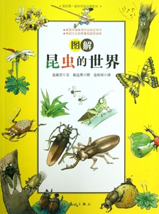 图解昆虫的世界/我的 堂科学知识课系列