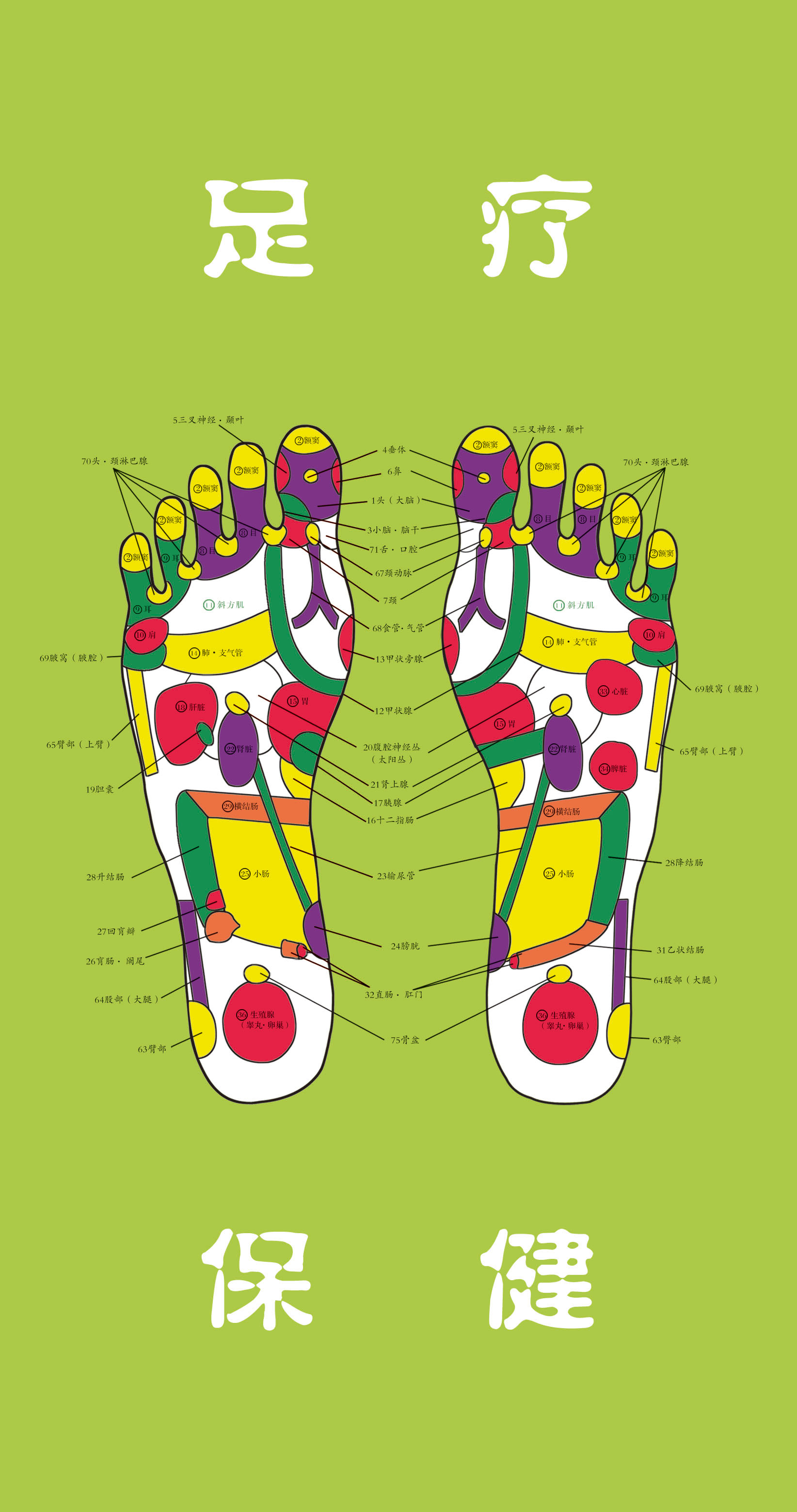 620海报印制海报展板素材977足疗保健脚底示意图副本