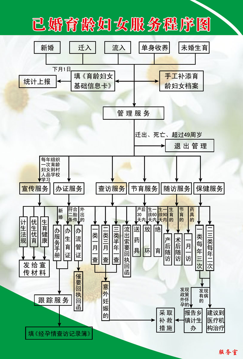 海报印制417设计展板素材146已婚育龄妇女服务程序图定制 个性定制/设计服务/DIY 写真/海报印制 原图主图