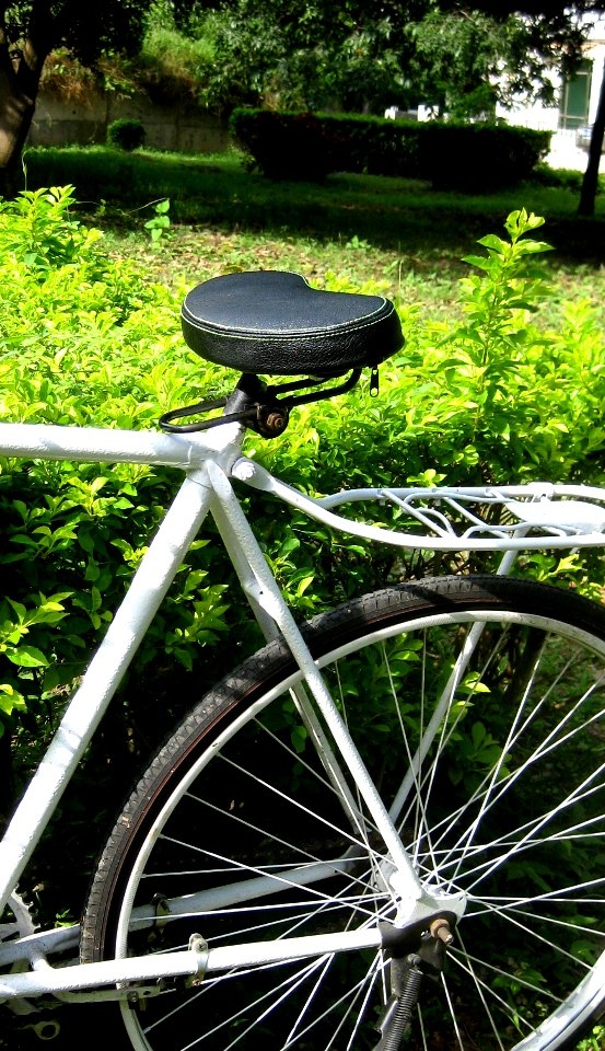 Selle de vélo MINGS - Ref 2348511 Image 1