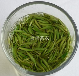 2024年新春上市四川峨眉山绿茶，小米芽雀舌茶叶明前250g