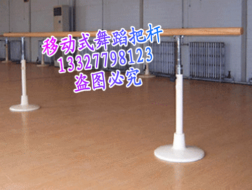 Специальное предложение мобильного телефона Танцевальное руль/настенная танцевальная ручка танцевальной тестовой отчет