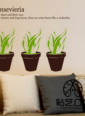 韩国风格墙贴纸沙发背景创意店铺绿色植物边角装饰 F-063 虎尾兰