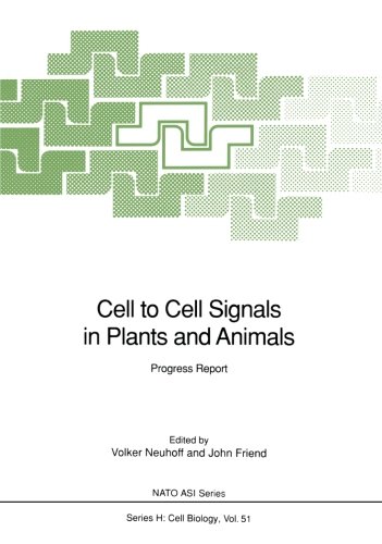 美国库房发货,通常付款后5-8周到货！