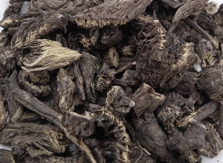 漏芦漏芦粉野兰鬼油麻狼头花华州禹州500g包邮通草