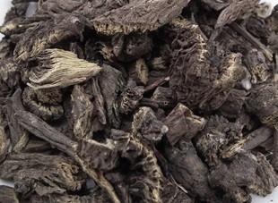 漏芦漏芦粉野兰鬼油麻狼头花华州禹州500g包邮通草