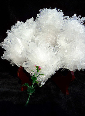 晶山角天然白水晶簇 白水晶柱摆件底座是天然红木190*200MM1.9kg