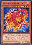 广州童梦正版日文游戏王CBLZ803散卡阳炎兽 刻耳柏洛斯 N