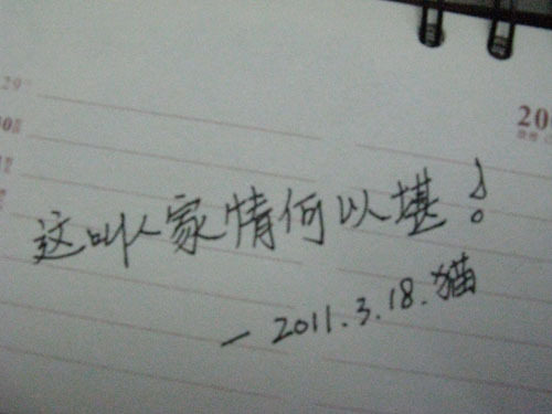 手写优美句子 诗句 歌词 论坛贴吧签名 纯手工书法 生活个性艺术