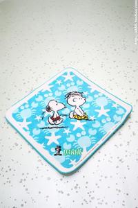 迪士尼Disney正品snoopy毛巾/小毛巾/口水巾/手帕/吸汗巾/擦手巾