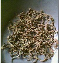 中药材中草药苦丁香 500克