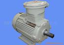 卧式 YB2YB系列防爆电机 22KW1500转4极立式 国标电动机 YB180L