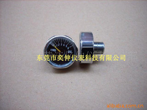 。25MM轴向高压压力表，6000PSI压力表M10*1，潜水迷你东莞压力表