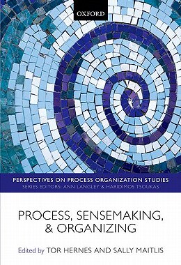 【预售】Process, Sensemaking, and Organizing