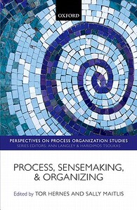 【预售】Process, Sensemaking, and Organizing