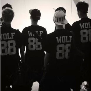 exo wolf88狼与美女同款打歌服T恤应援队服 男女款周边 纯棉短袖