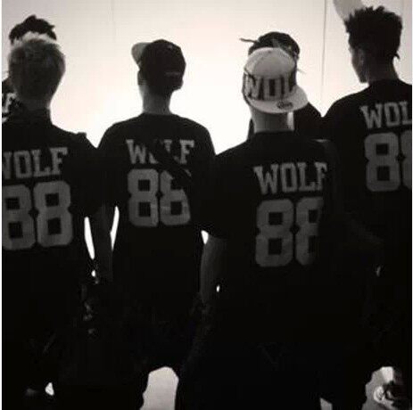 exo wolf88狼与美女同款打歌服T恤应援队服 男女款周边 纯棉短袖