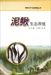 泥鳅生态养殖/特种水产生态养殖丛书  正版书籍 木垛图书